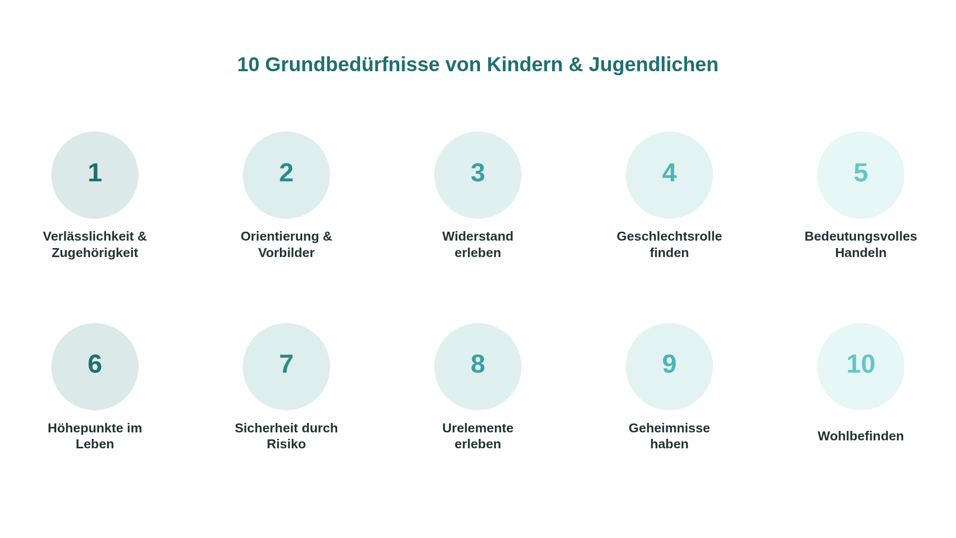 grundbeduerfnisse.png