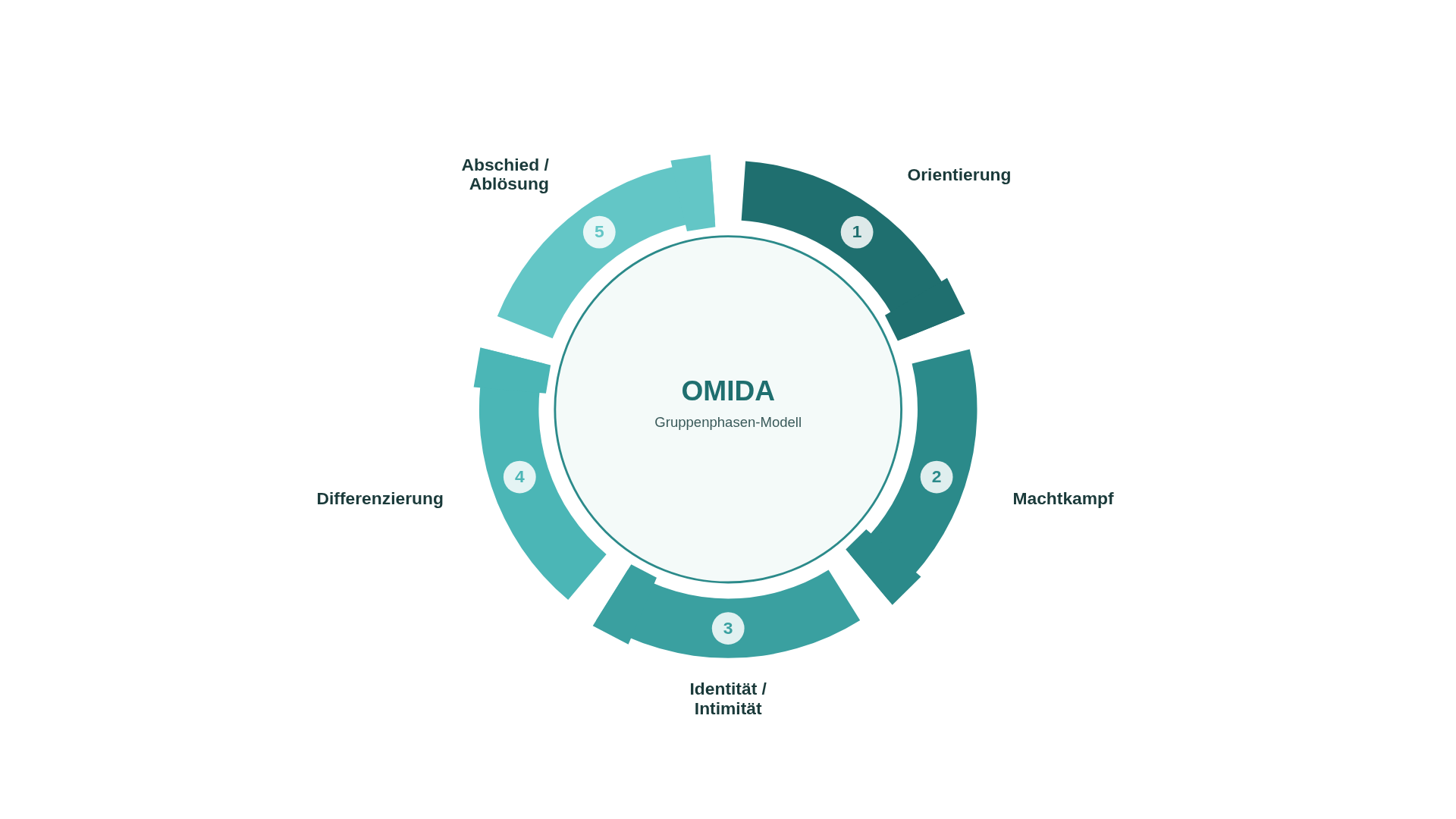 omida-kreismodell.png